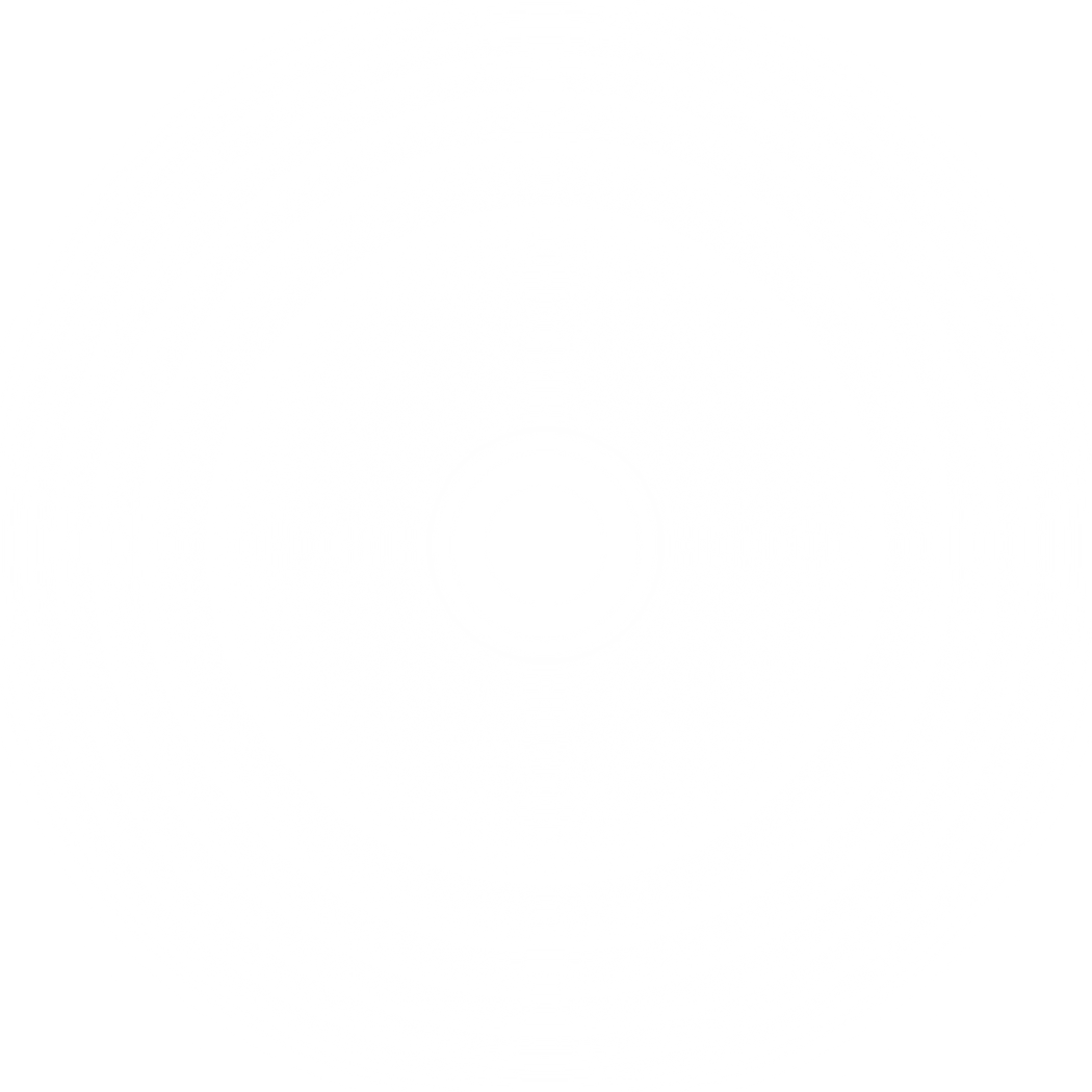 white blur circle gradient
